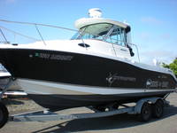 2006 Seaswirl 2601 Striper