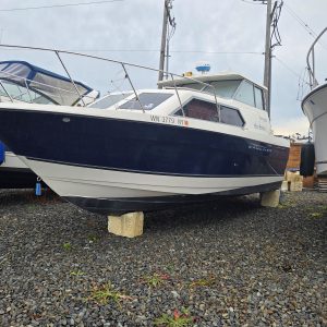 07 Bayliner Discovery 289